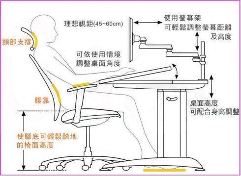 _辦公室人體工學椅子